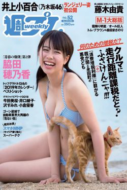黄飞鸿之西域雄狮