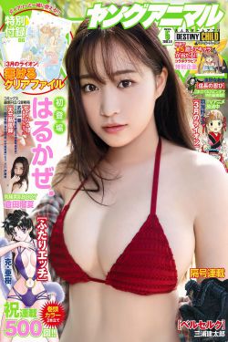沙海演员表