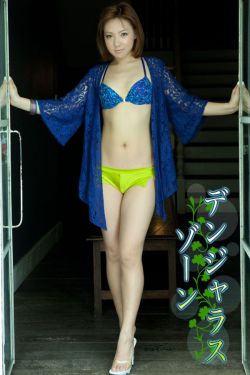 董文华在红楼里接过多少客