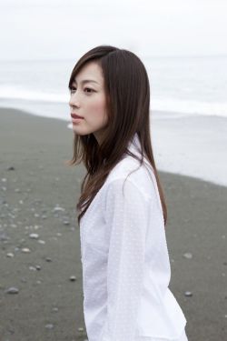 海贼王下载